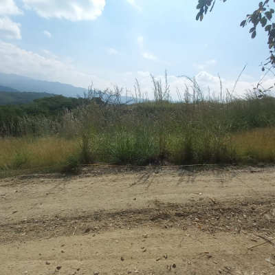 WhatsApp Image 2025-05-08 at 9.21.00 PM (1)