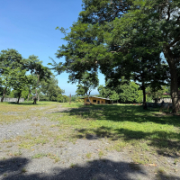 WhatsApp Image 2025-10-10 at 12.08.06