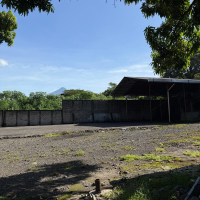 WhatsApp Image 2025-10-10 at 12.08.07 (2)