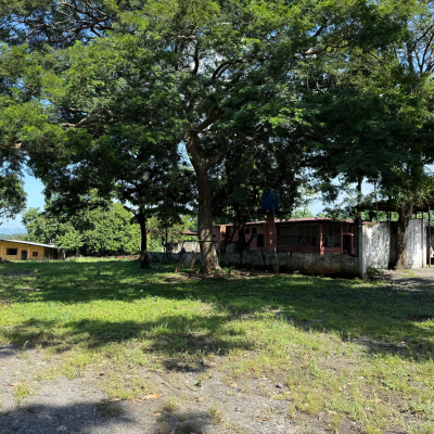 WhatsApp Image 2025-10-10 at 12.08.07