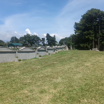 Se vende lote familiar tipo jardin en camposanto La Colina