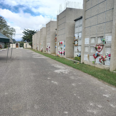 Nichos en camposanto Los cipreses