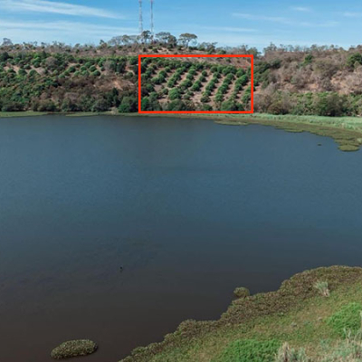 Se vende 5.4 manzanas a orilla de Laguna el Comendador, Jutiapa