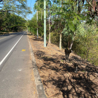 WhatsApp Image 2026-02-16 at 10.08.31 AM