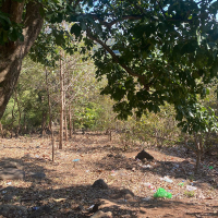 WhatsApp Image 2026-02-16 at 10.08.32 AM (2)