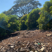 WhatsApp Image 2026-02-16 at 10.08.32 AM (4)