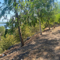 WhatsApp Image 2026-02-16 at 10.08.32 AM