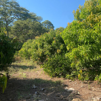 WhatsApp Image 2026-02-16 at 10.08.33 AM