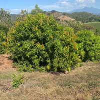 WhatsApp Image 2026-02-16 at 10.08.34 AM (4)