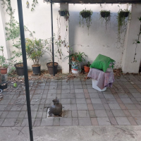 WhatsApp Image 2026-03-25 at 8.32.40 AM (5)