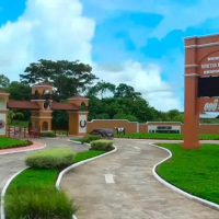 7 entrada 1