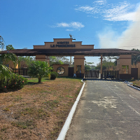 entrada 2