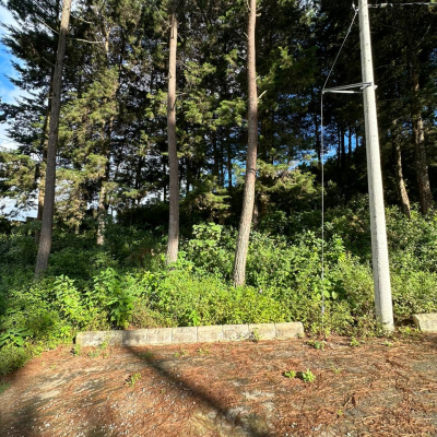 26767632-f1b5-49f7-9c07-d60f452d3a3a