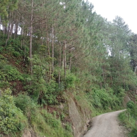 IMG-20240901-WA0014