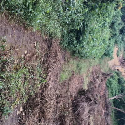 inbound2502736254972065763