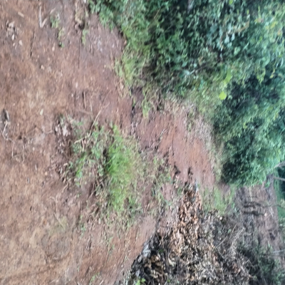 inbound4953628310691006919