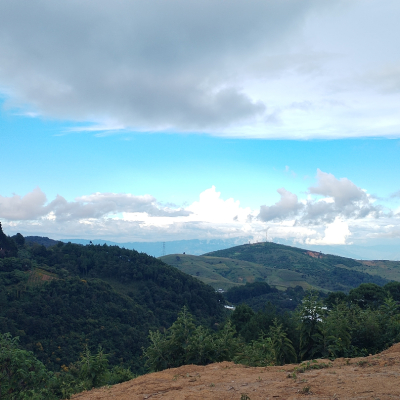 inbound6897127279802950760