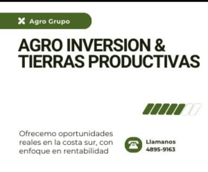 Joshua Cohen - avatar